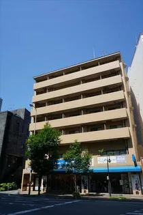 ニューシャトル大橋の画像