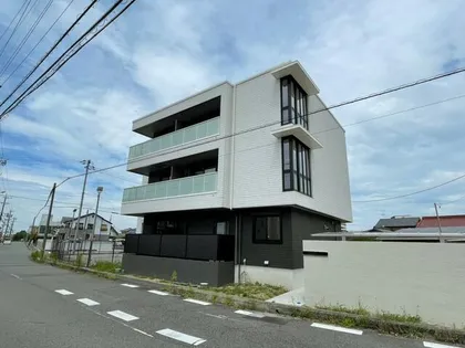 セルディーナの画像