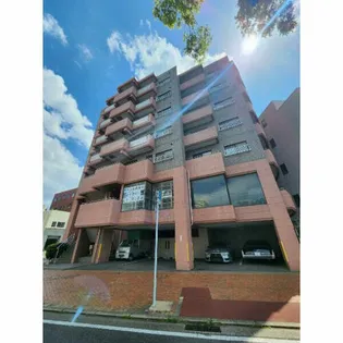 ニシキグレイス浅野の画像