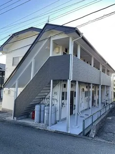 サクセスホワイトの画像