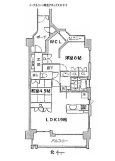 イーグルコート御池アネックス【805号室】の間取り