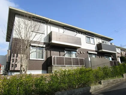 プリムローズBの画像