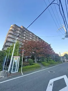 高石スカイハイツの画像