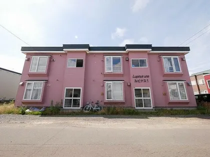 ルピナス1の画像