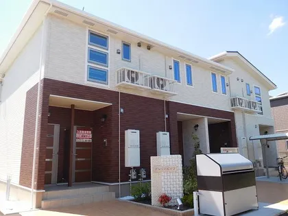 グレイスビオラの画像