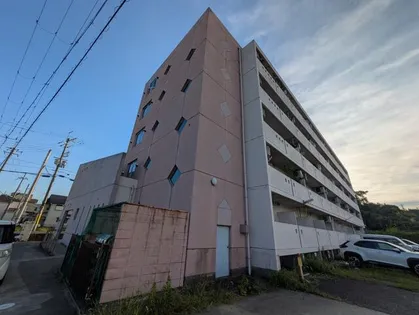 ブラッサム精華の画像