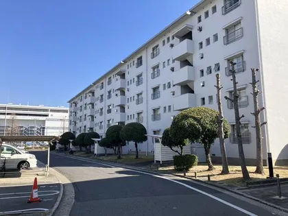浅香山住宅8棟の画像