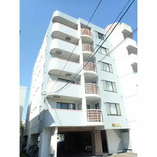 フェリスカーサN20の画像