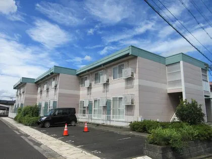 ピコ白鳥の画像