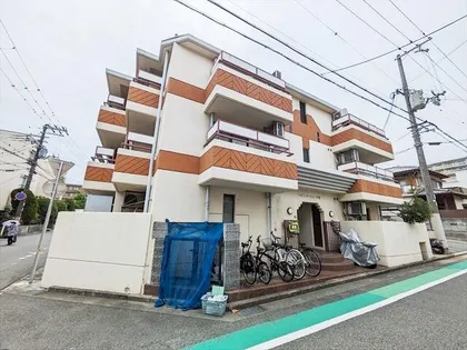 ネオダイキョー芦屋の画像