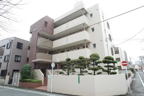 讃井ハイムの画像