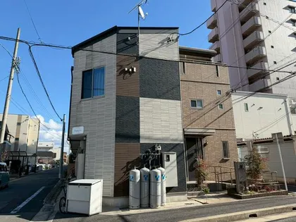 バステトこがねの画像