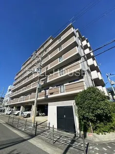 UスギモトⅡの画像