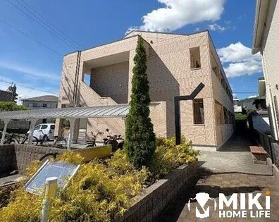 モン シェリーの画像