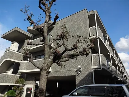 ビオトープ旭ヶ丘の画像