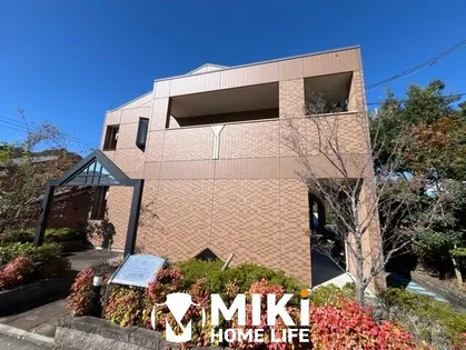 アシューレの画像