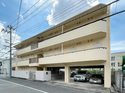 ドゥエルミユキの画像