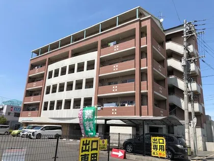 ペロパラシオの画像