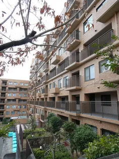 六甲グランドヒルズ 2号館の画像