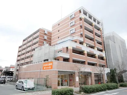 レックス豊新の画像