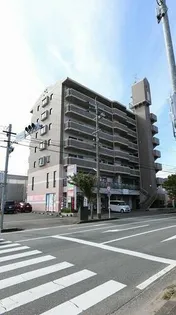 サンフォーレ舞音の画像