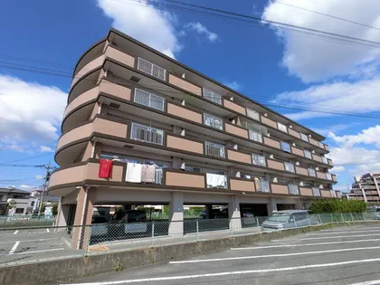 グリーンクロス95の画像