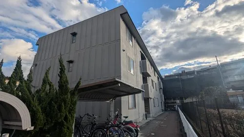 ブランユーカリの画像