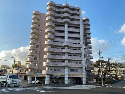 アピスカワイの画像