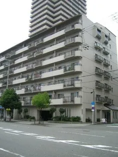 堂ヶ芝ビューハイツの画像