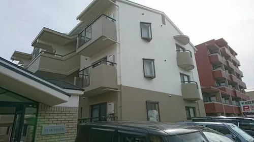 エバグリーンの画像