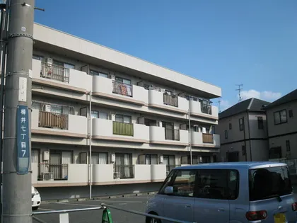 サン シードの画像