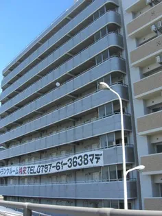 メゾンサクラ9【8階】の外観