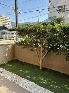サンモリッツ黒崎の画像