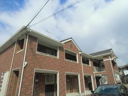 プリステラの画像