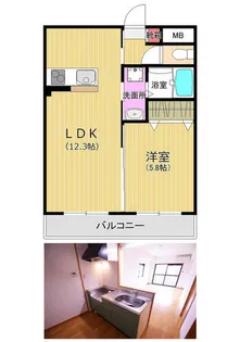 エルボヌール【302号室】の間取り