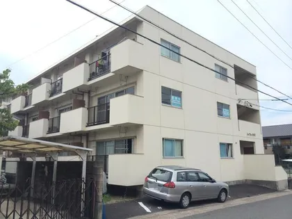 ハイツトバサマの画像