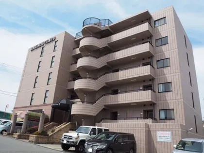 セントポーリアⅡの画像