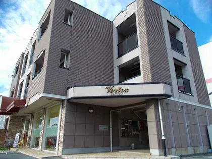 ヴェルテクスの画像