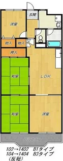 メゾン大邦【6階】の間取り