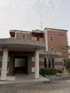 ツインズの画像