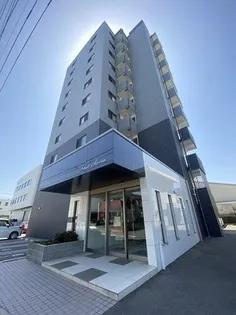 FELICE STORIAの画像