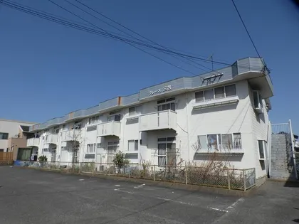 グレース三苫の画像