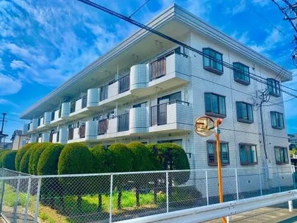 ピオーネ大神の画像