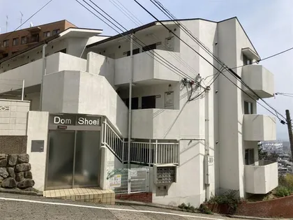 DOM SHOEIの画像