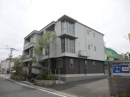 ベレオフラワーの画像