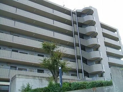 デイグランシャンドフルールの画像