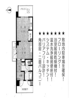 シティコート曽根東町3番館【3-501号室】の間取り