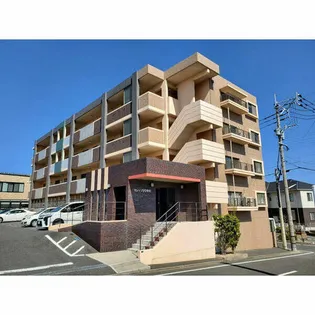 セレッソひびきのの画像