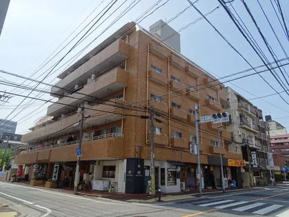 ダイアパレス白金の画像