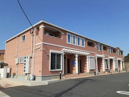 コスモス Jの画像